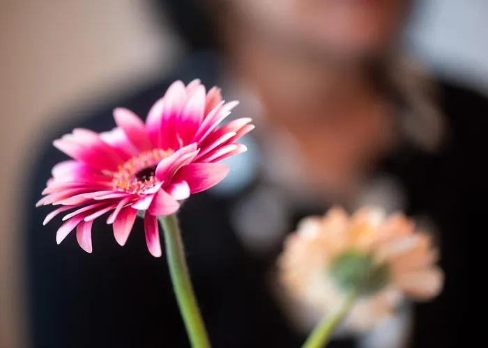 Gutenberg 20 מלון 3*